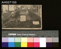 台灣特產帝雉明信片藏品圖，第1張
